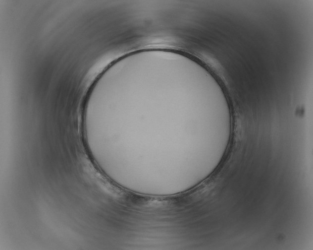 X0000110681419200907021859