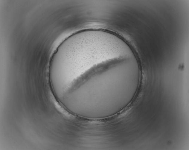 X0000110681421200907021859