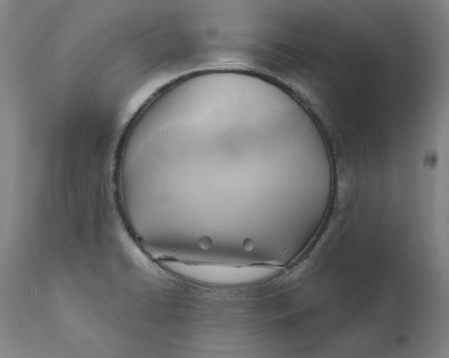 X0000110681422200907021859