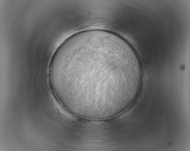 X0000110681423200907021859