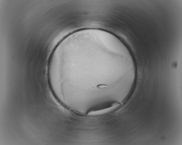 X0000110681424200907021859