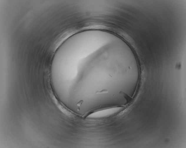 X0000110681425200907021859