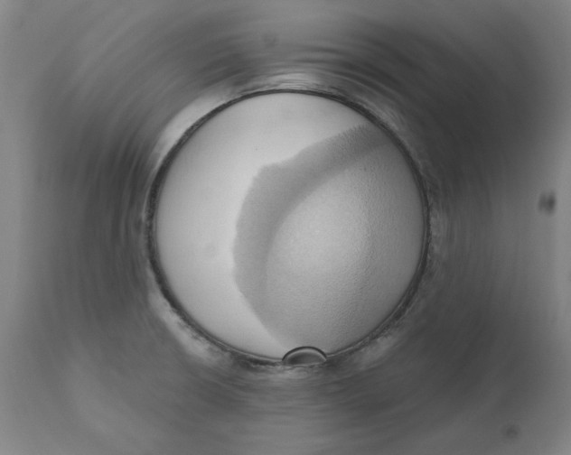 X0000110681426200907021859