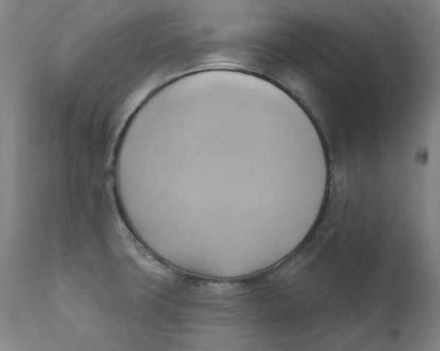 X0000110681427200907021859