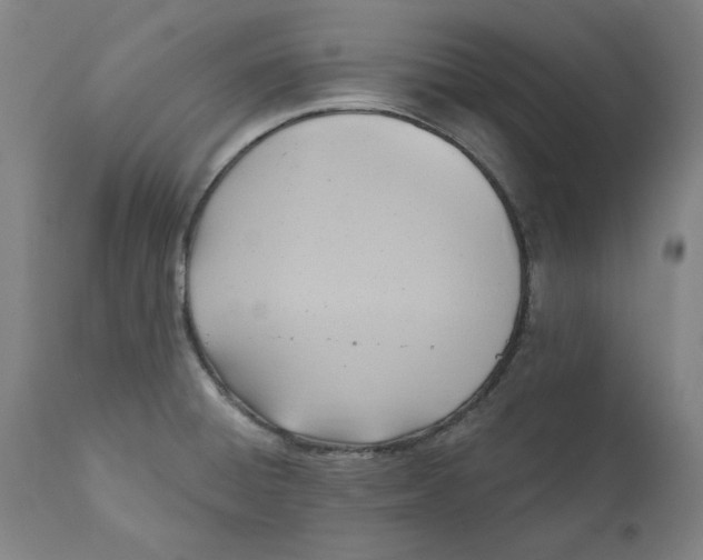 X0000110681428200907021859