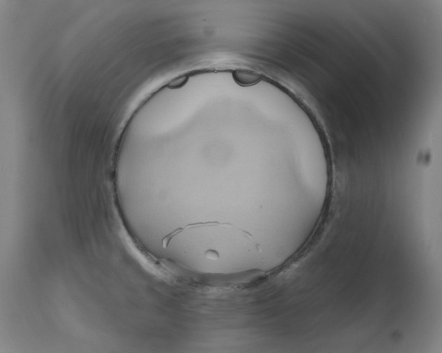 X0000110681429200907021859