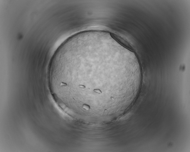 X0000110681430200907021859