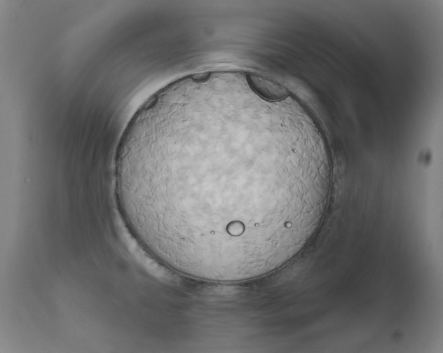 X0000110681431200907021859