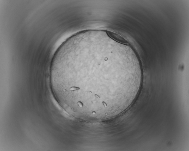 X0000110681432200907021859