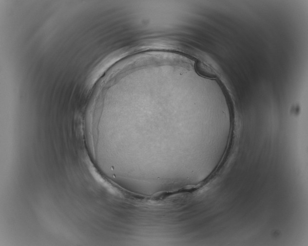 X0000110681433200907021859