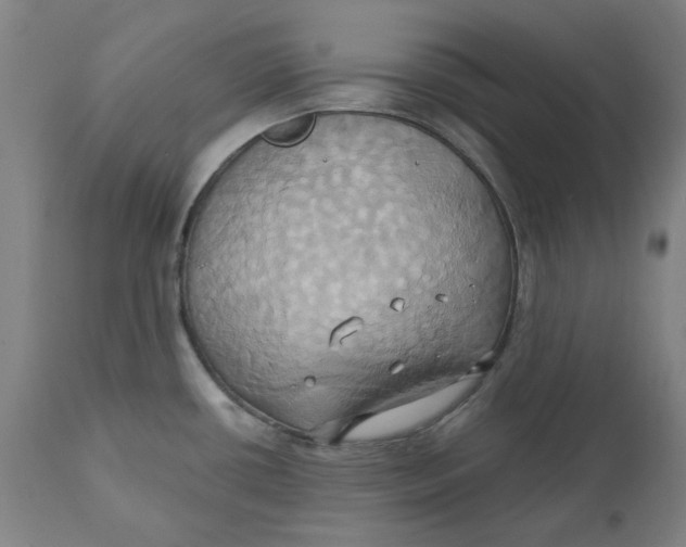 X0000110681434200907021859