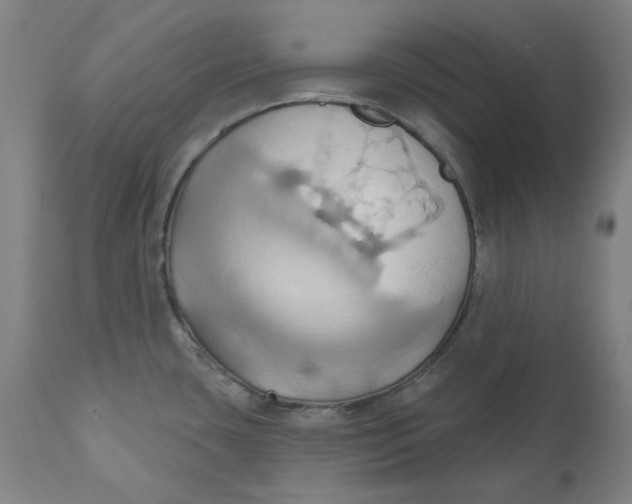 X0000110681435200907021859