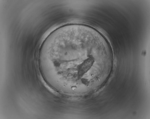 X0000110681437200907021859