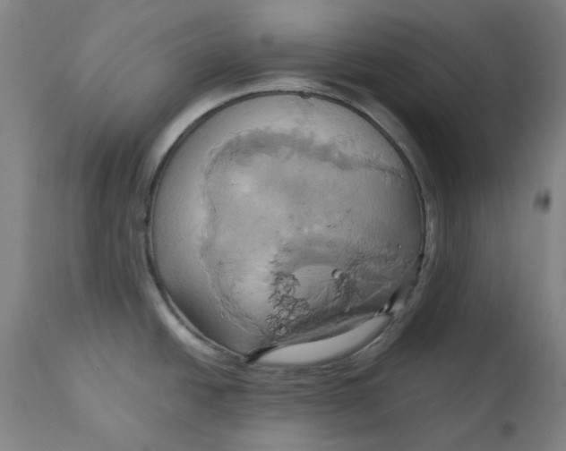 X0000110681438200907021859