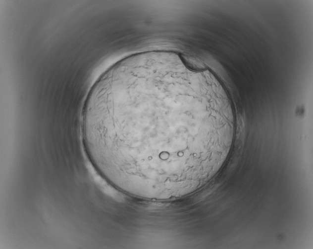 X0000110681439200907021859