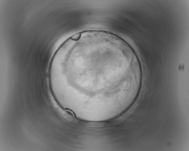 X0000110681440200907021859