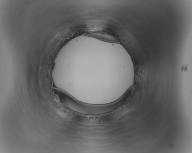 X0000110681441200907021858