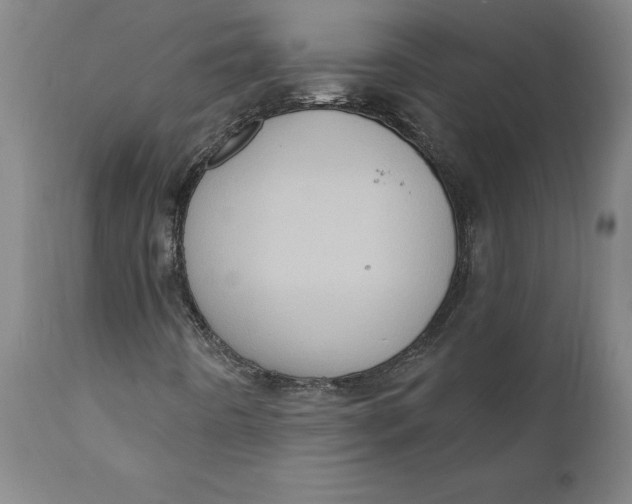 X0000110681442200907021858