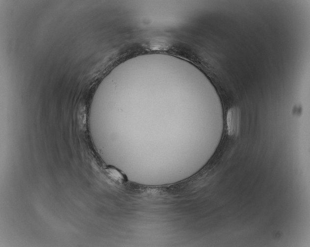 X0000110681443200907021858