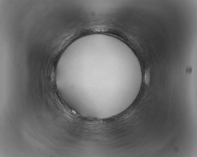 X0000110681444200907021858