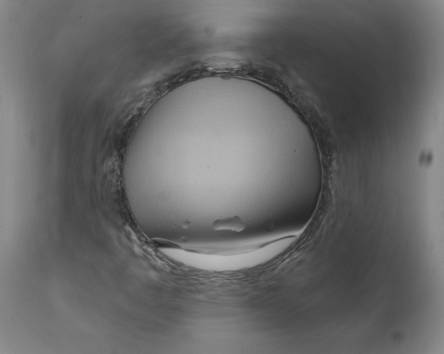 X0000110681445200907021858