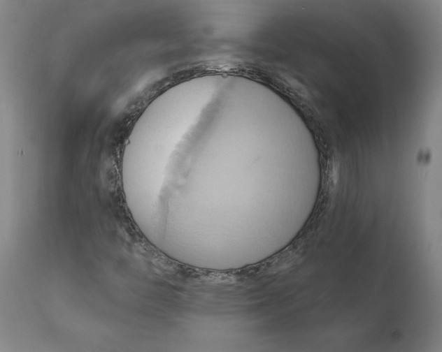 X0000110681446200907021858