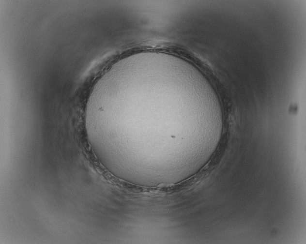 X0000110681447200907021858