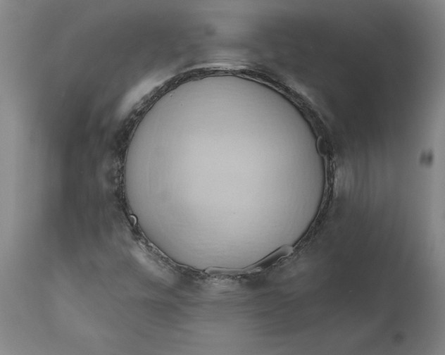 X0000110681448200907021858