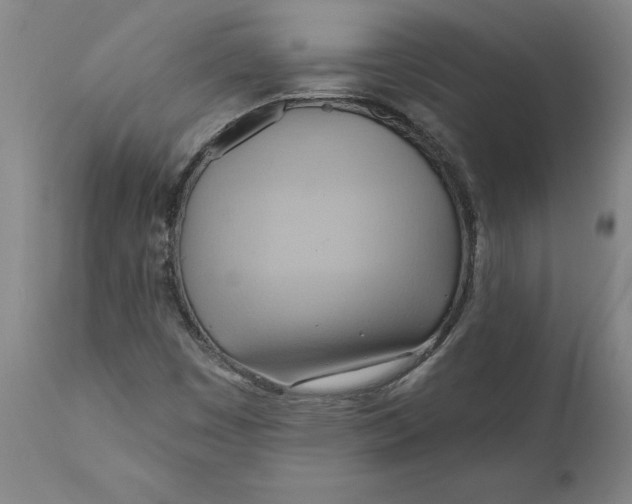 X0000110681449200907021858