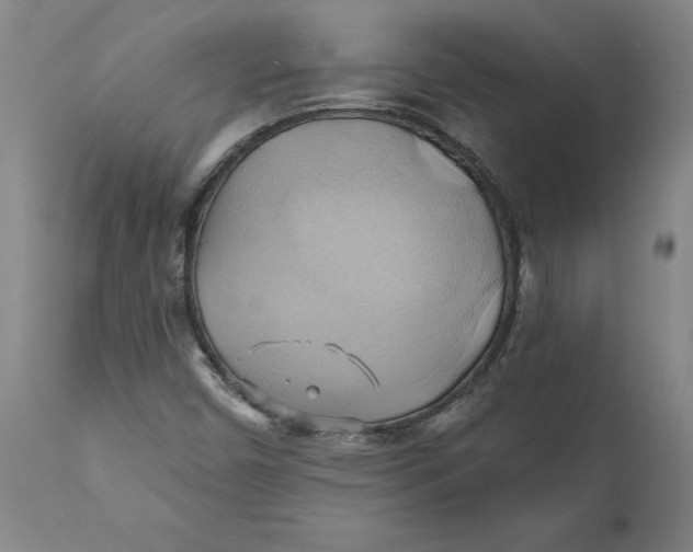 X0000110681450200907021858