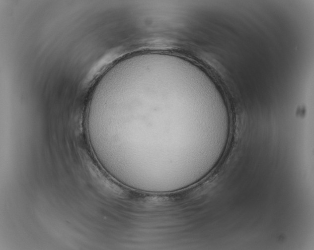 X0000110681451200907021858