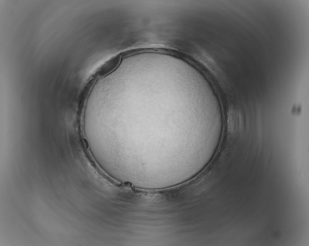 X0000110681452200907021858