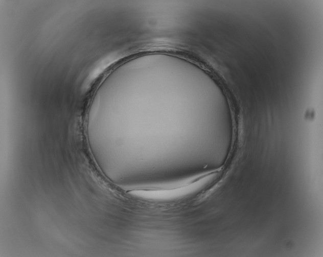 X0000110681453200907021858