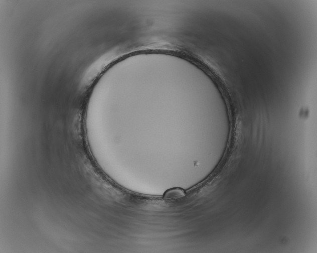 X0000110681455200907021858