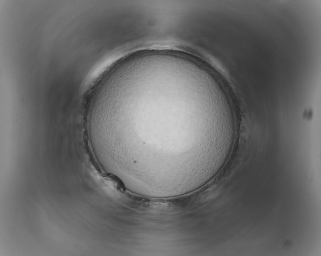 X0000110681456200907021858