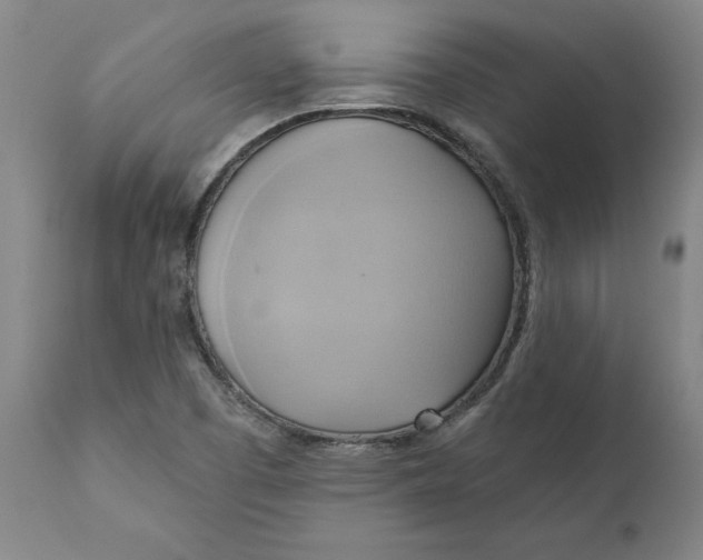 X0000110681457200907021858