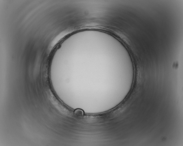 X0000110681458200907021858