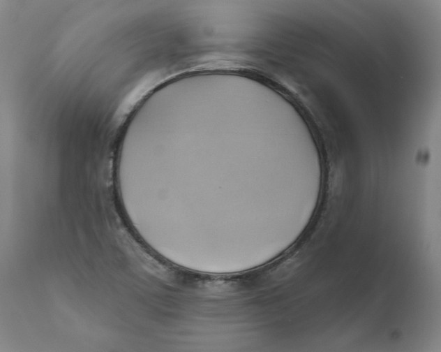 X0000110681459200907021858