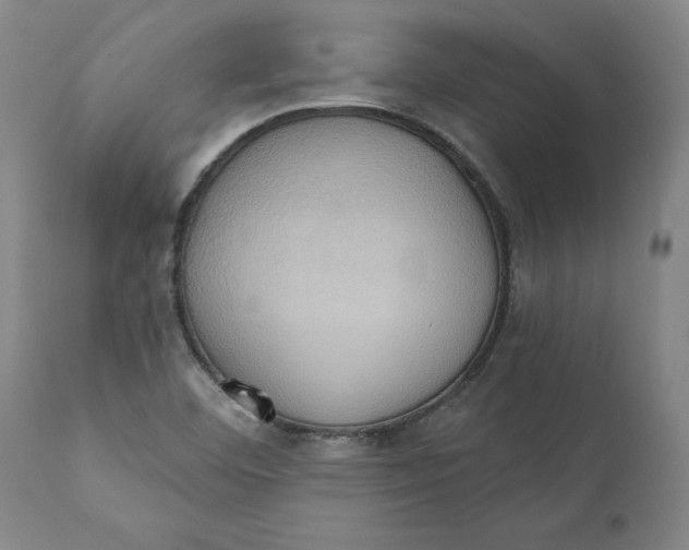 X0000110681460200907021858