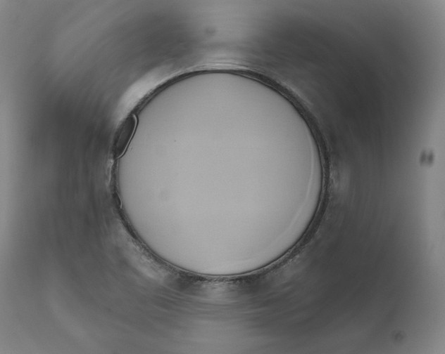 X0000110681461200907021858