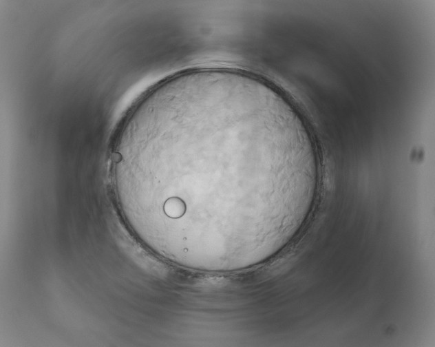 X0000110681462200907021858