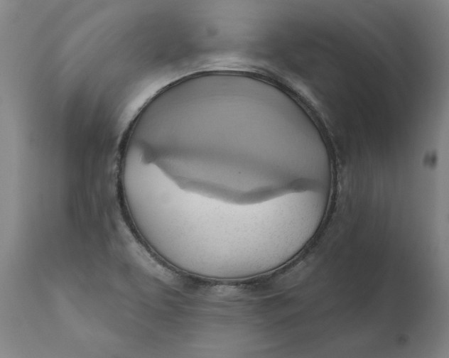 X0000110681463200907021858