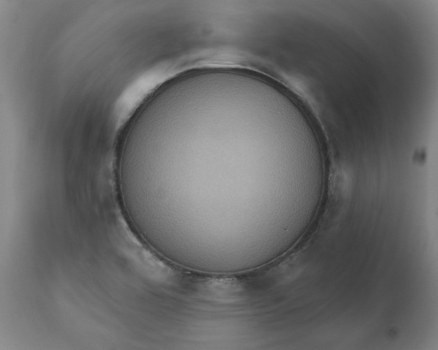 X0000110681464200907021858