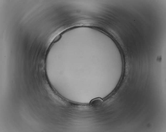 X0000110681465200907021858