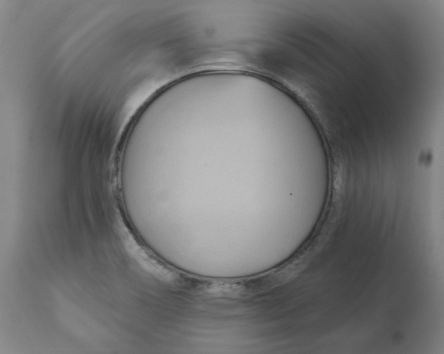 X0000110681466200907021858