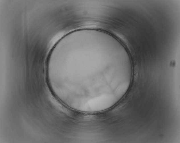 X0000110681467200907021858