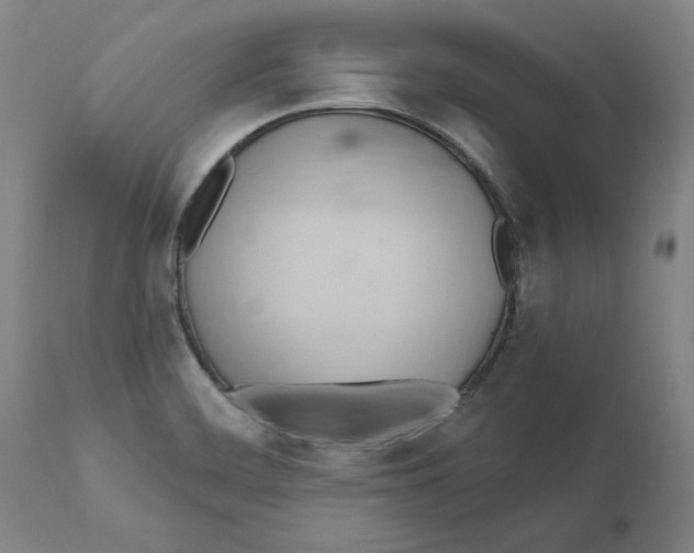 X0000110681468200907021858