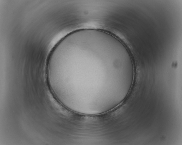 X0000110681469200907021858