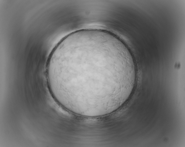 X0000110681470200907021858