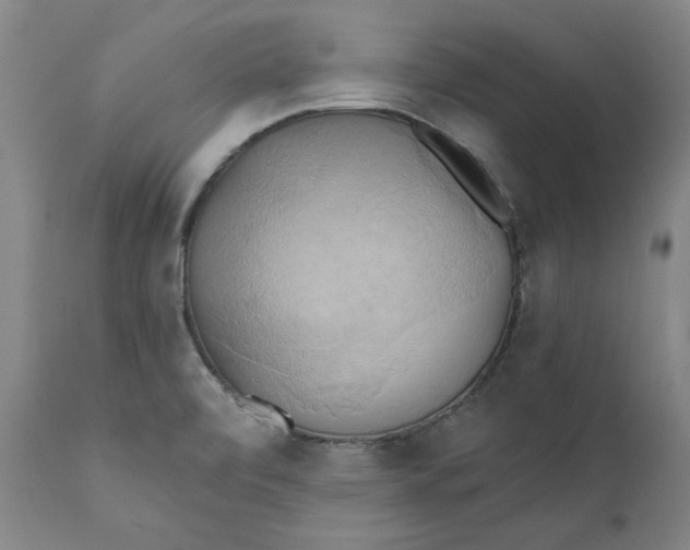 X0000110681472200907021858